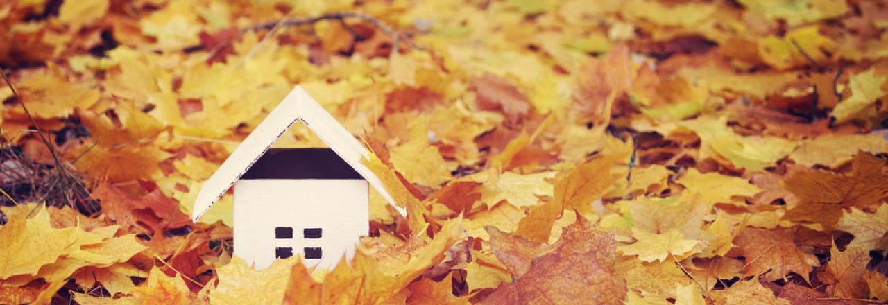 model home among autumn leaves